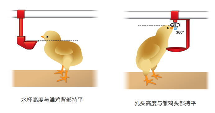 imagek0xha.png