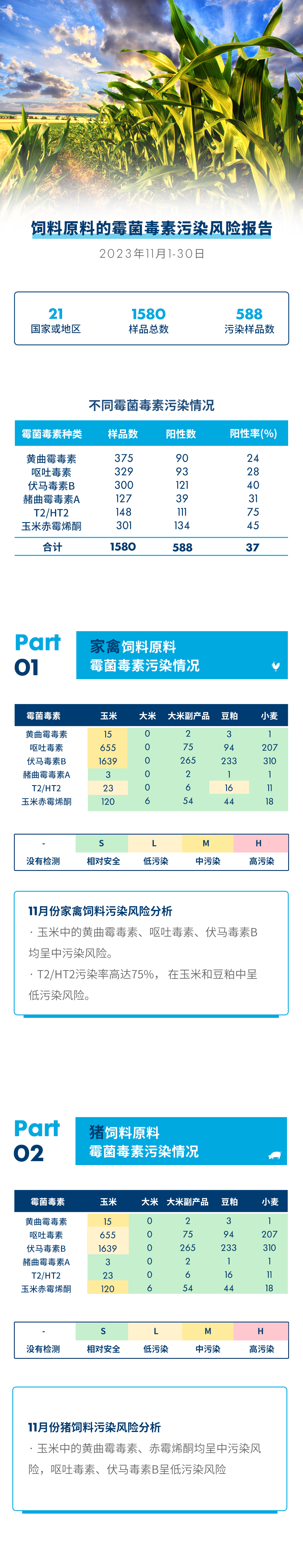 文.png