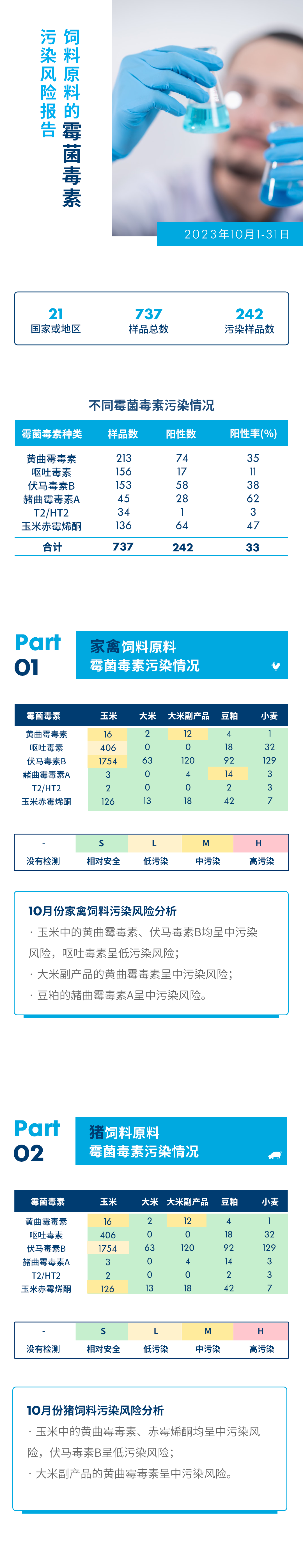 文.png